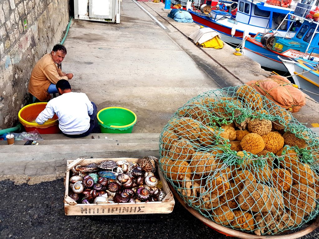 Mariemi Otaola. Fotografia