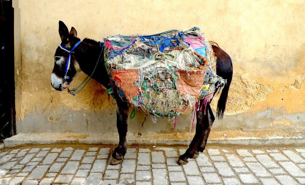 Mariemi Otaola. Fotografia