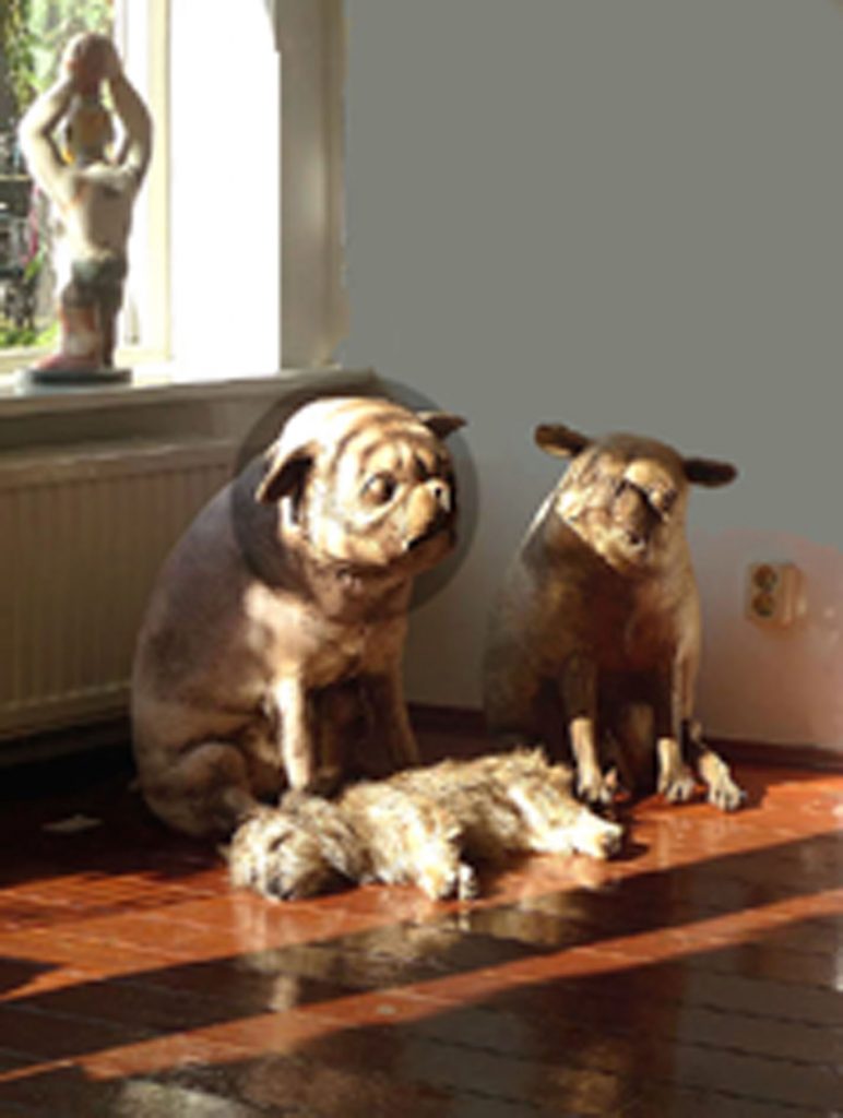 Mariemi Otaola. Fotografia