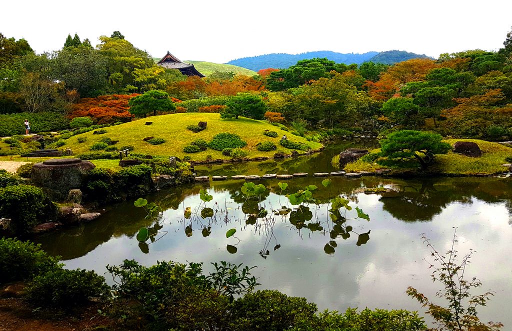 Mariemi Otaola. Fotografia