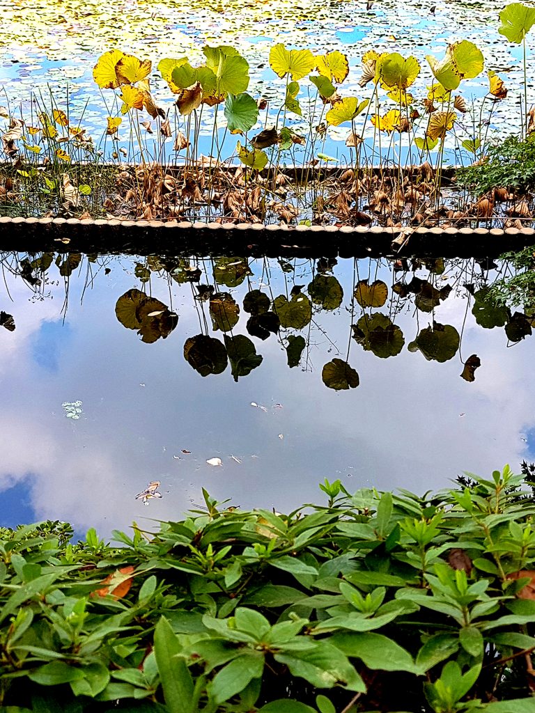 Mariemi Otaola. Fotografia