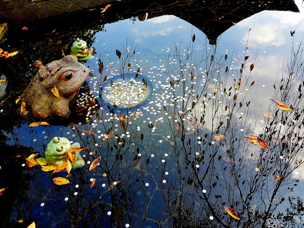 Mariemi Otaola. Fotografia