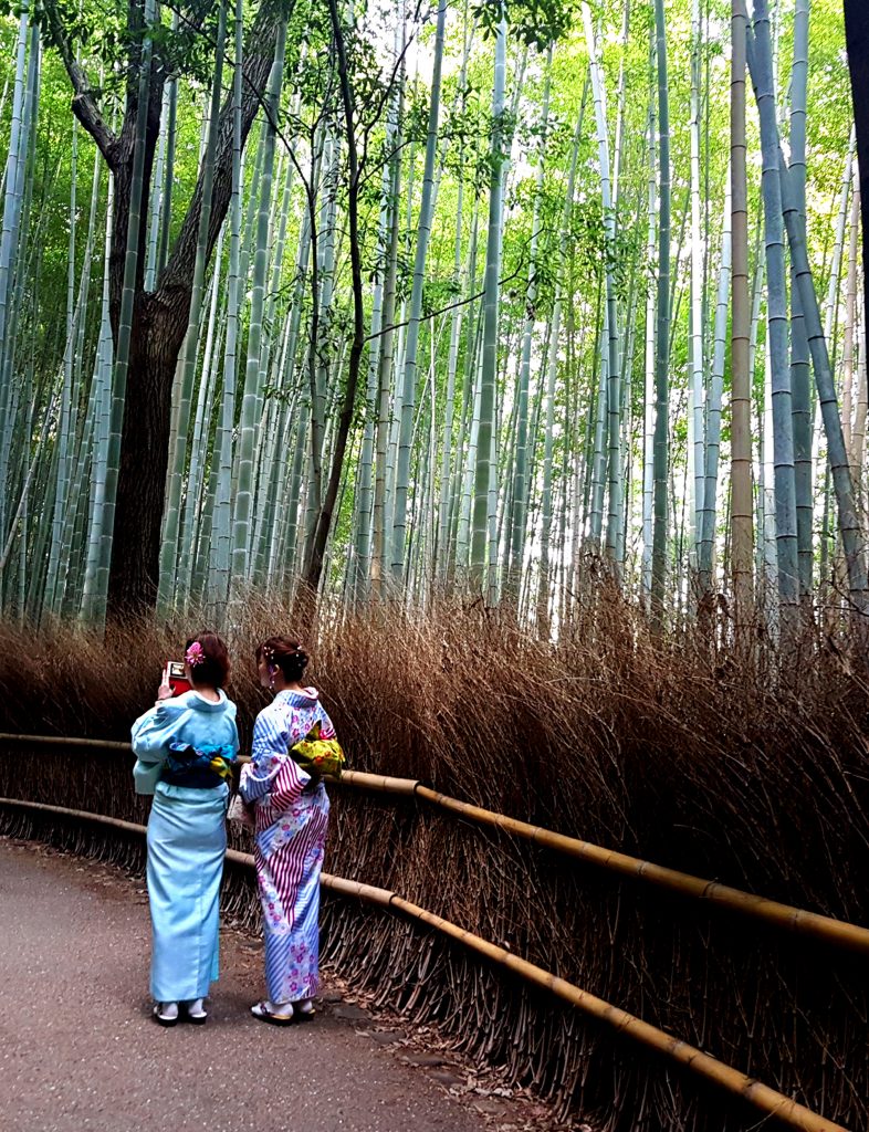 Mariemi Otaola. Fotografia
