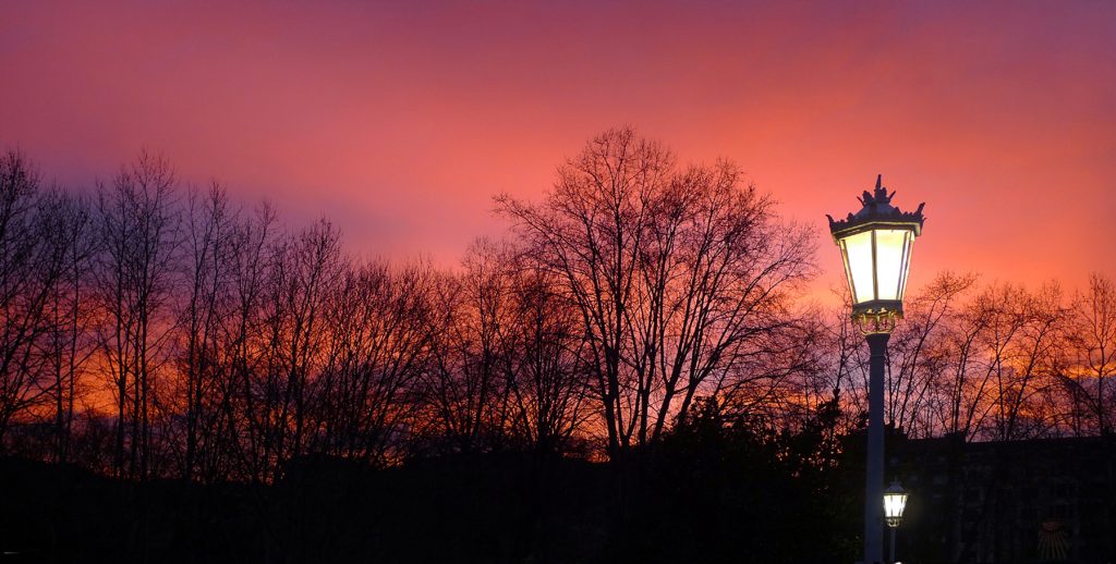 Mariemi Otaola. Fotografia