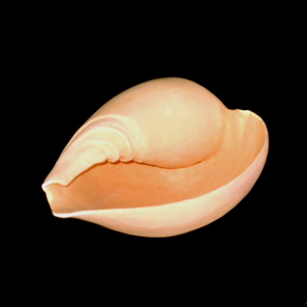 Mariemi Otaola. Cerámica